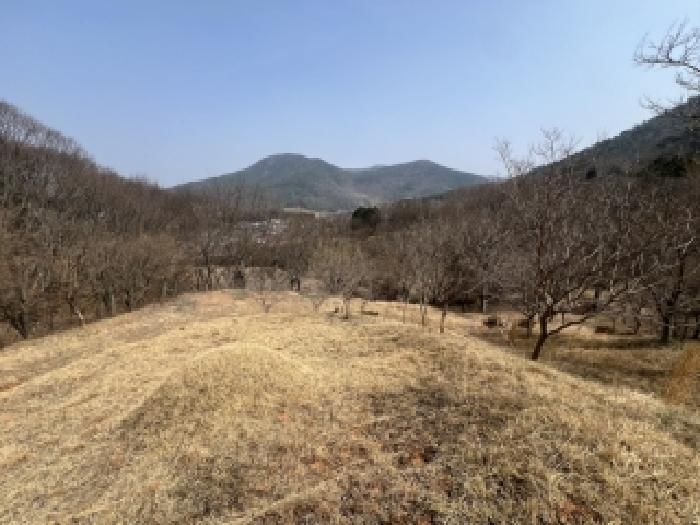 담양군 대덕면 문학리 임야 경매 물건 사진