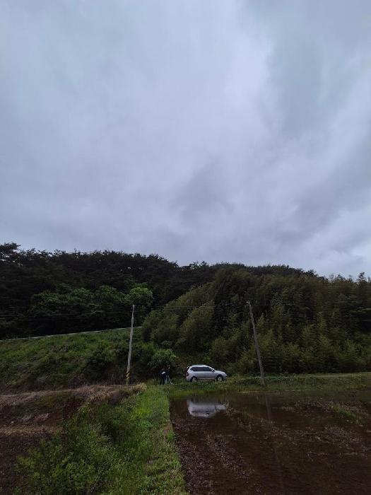 화순군 동복면 안성리 대지,임야,전답 경매 물건 사진