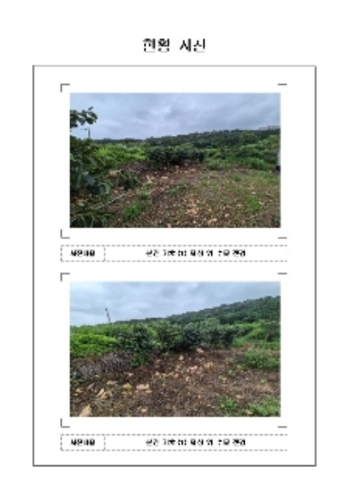 영암군 학산면 독천리 답 경매 물건 사진