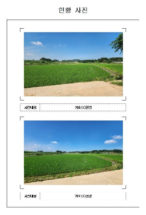 영암군 시종면 봉소리 답 경매 물건 사진