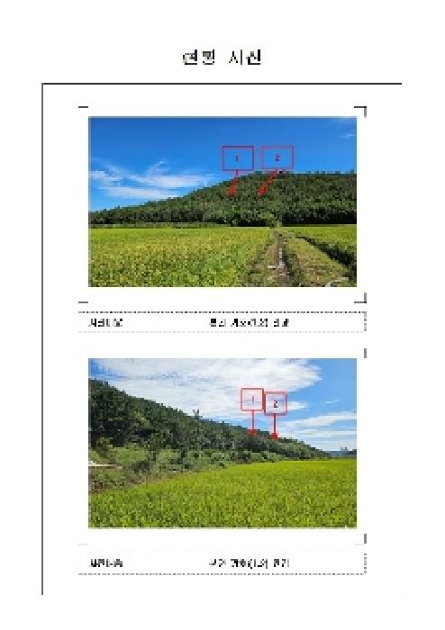 신안군 압해읍 신장리 임야 경매 물건 사진