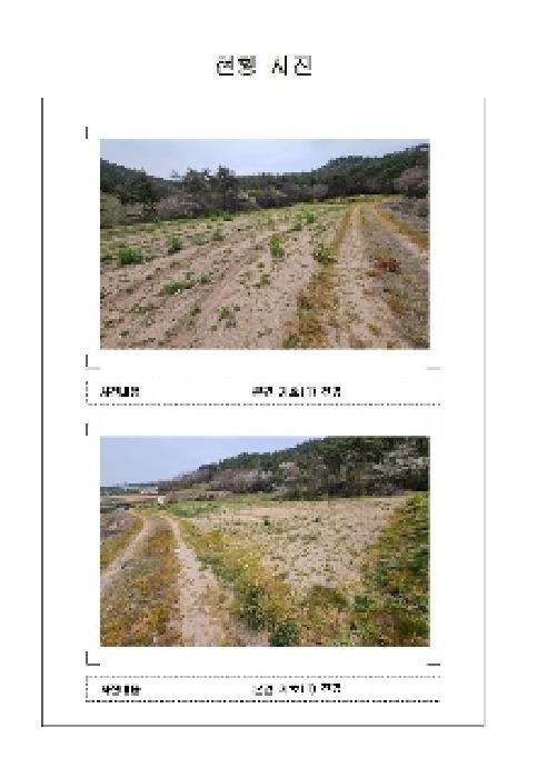 신안군 지도읍 광정리 전 경매 물건 사진