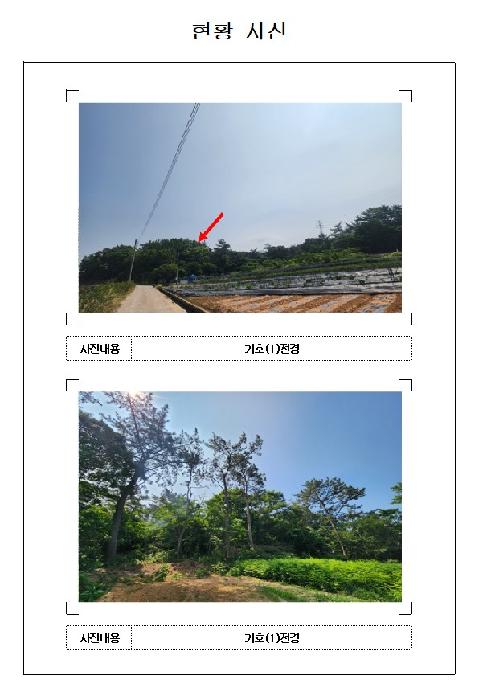 영암군 삼호읍 삼포리 임야 경매 물건 사진