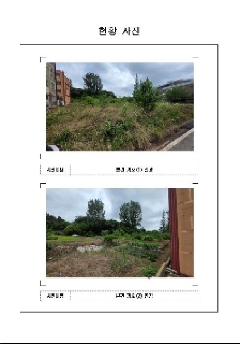 무안군 일로읍 월암리 과수원 경매 물건 사진