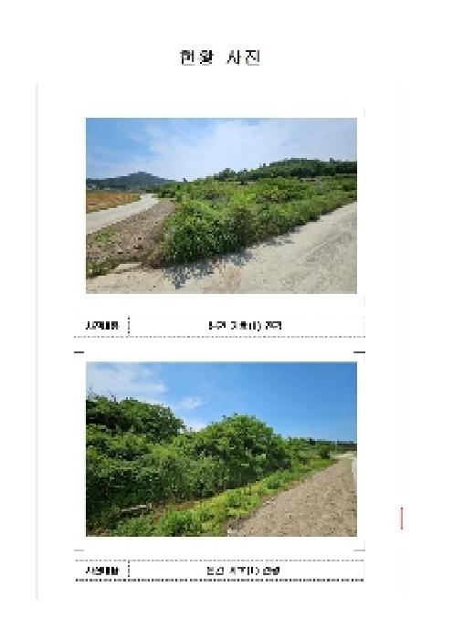 신안군 도초면 지남리 임야 경매 물건 사진