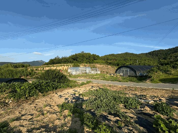 신안군 자은면 면전리 대지 경매 물건 사진