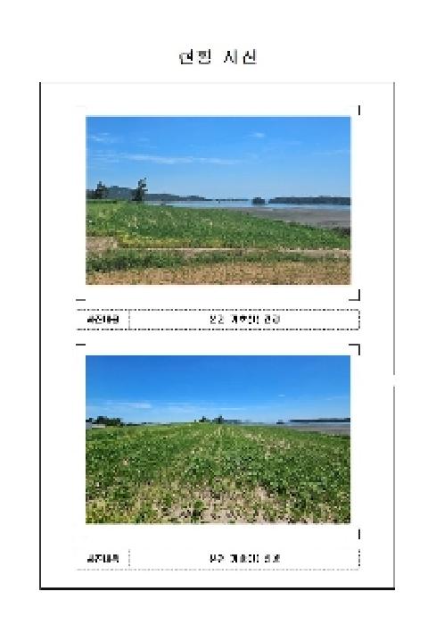 신안군 압해읍 매화리 답 경매 물건 사진