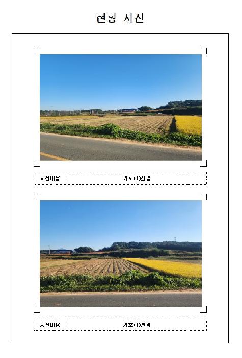 영암군 시종면 월송리 답 경매 물건 사진