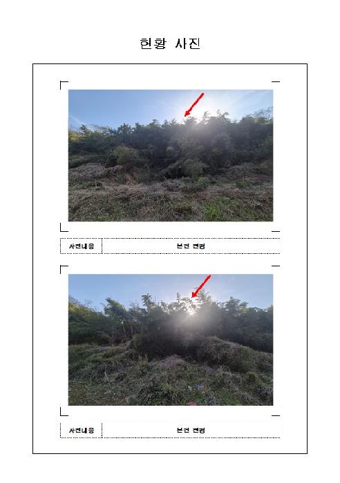 함평군 대동면 백호리 대지,임야,전답 경매 물건 사진