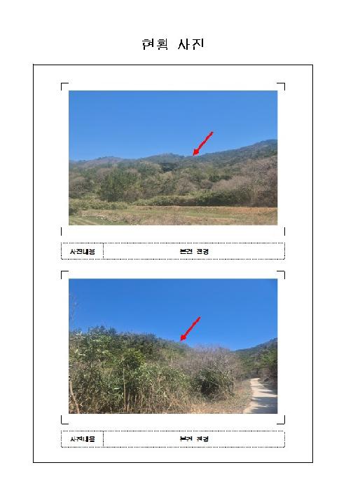 함평군 손불면 양재리 임야 경매 물건 사진