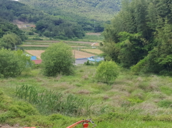 장흥군 용산면 상발리 답 경매 물건 사진