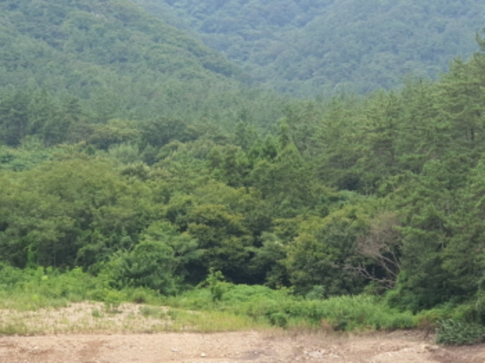 장흥군 용산면 어산리 답 경매 물건 사진