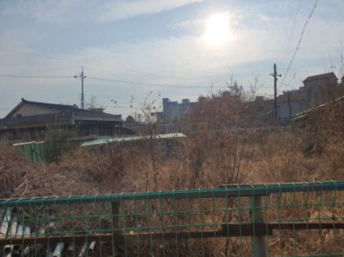 장흥군 장흥읍 건산리 답 경매 물건 사진