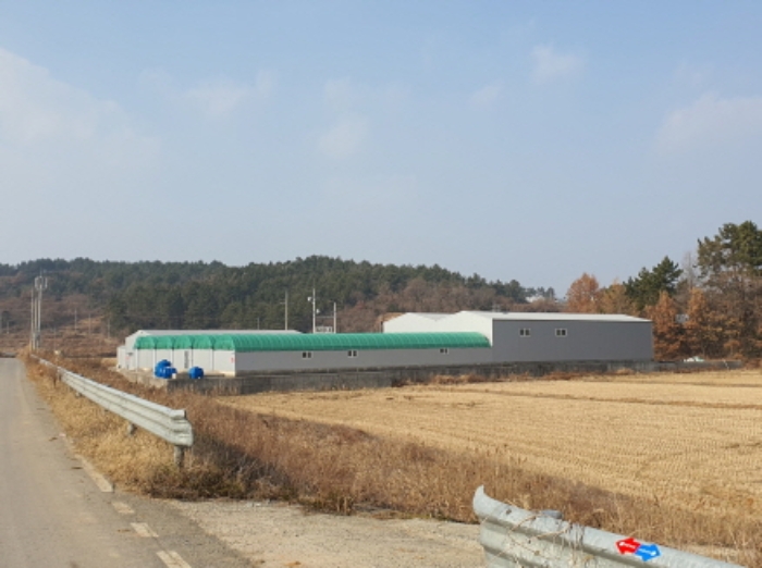 강진군 마량면 수인리 답 경매 물건 사진