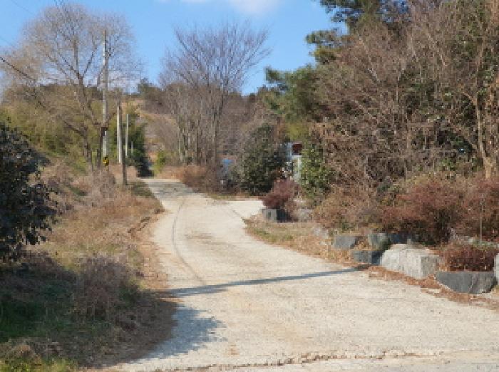 강진군 성전면 금당리 전 경매 물건 사진
