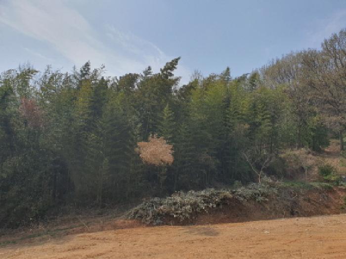 강진군 도암면 만덕리 임야 경매 물건 사진