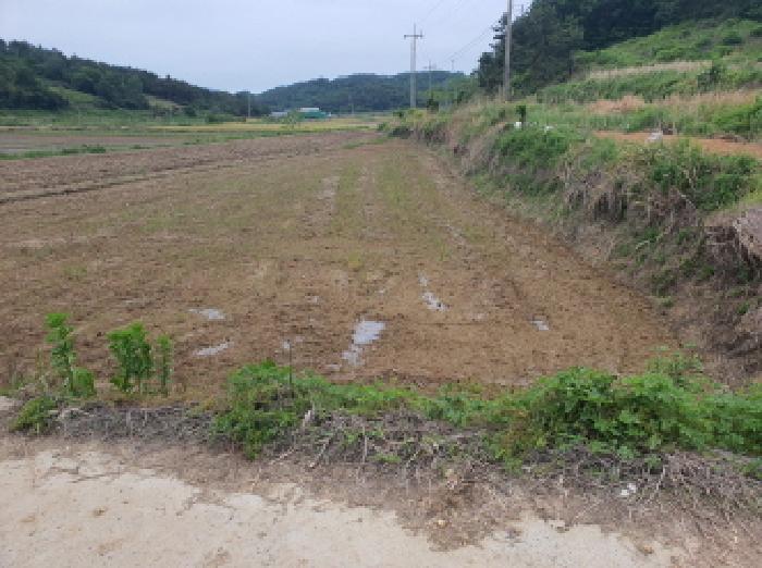 강진군 마량면 마량리 답 경매 물건 사진