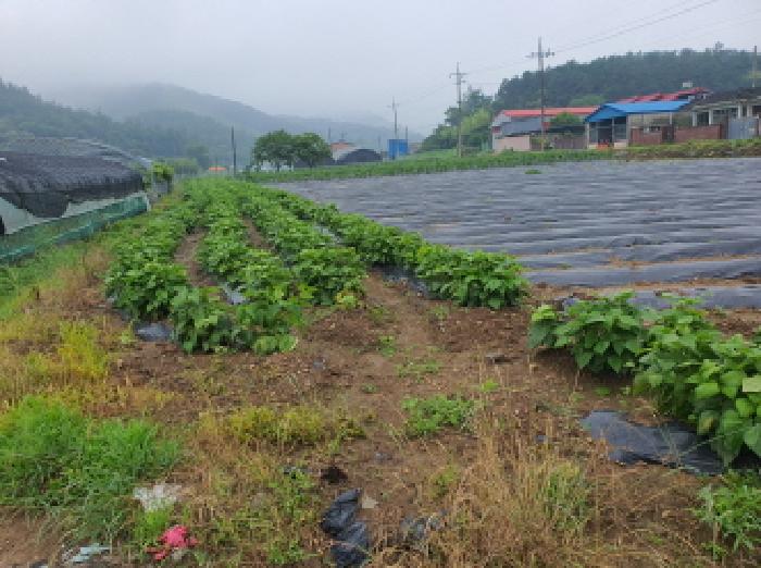 장흥군 장동면 북교리 대지 경매 물건 사진