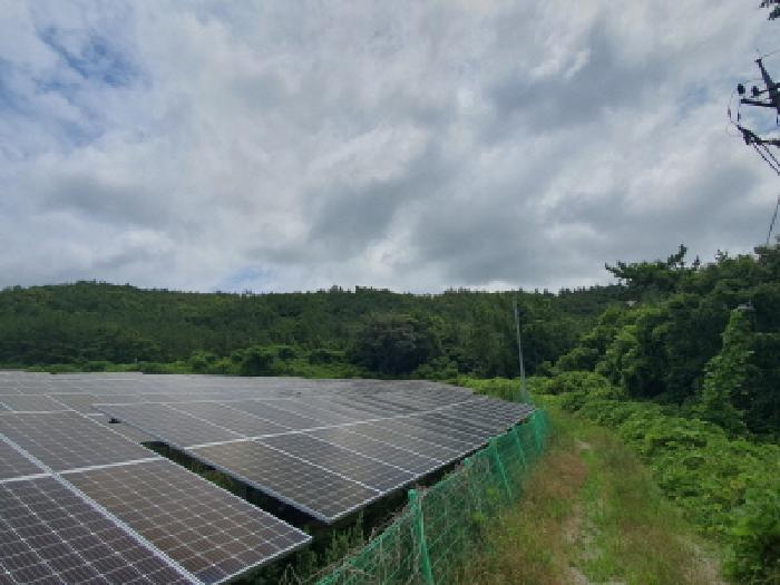 강진군 도암면 봉황리 임야 경매 물건 사진