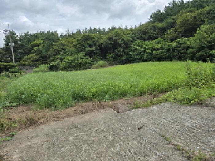 장흥군 관산읍 지정리 전 경매 물건 사진