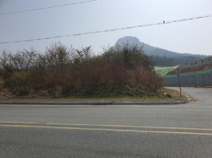 장흥군 장흥읍 삼산리 공장용지 경매 물건 사진