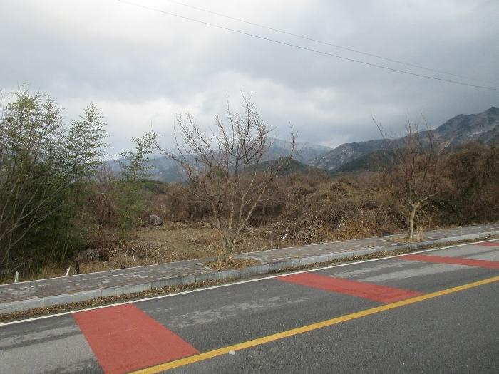 구례군 산동면 좌사리 전 경매 물건 사진
