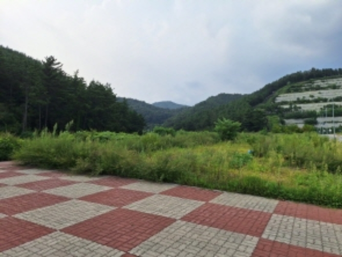 광양시 도이동 산26-43 임야 경매 물건 사진