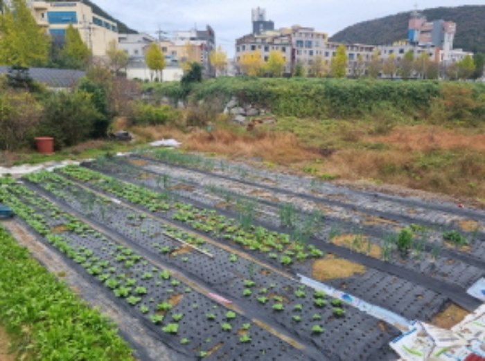 여수시 미평동 644-1 답 경매 물건 사진
