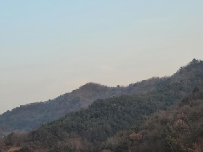 여수시 묘도동 산113-1 임야 경매 물건 사진