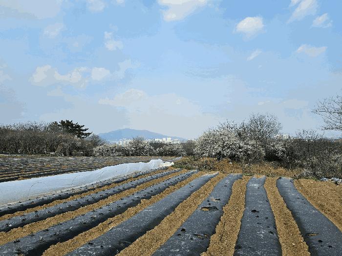 광양시 황길동 631-1 전 경매 물건 사진
