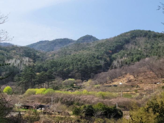 순천시 낙안면 창녕리 전답 경매 물건 사진