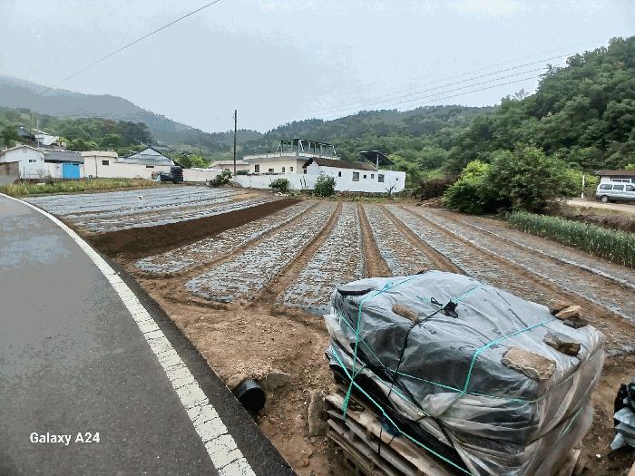 광양시 광양읍 초남리 임야 경매 물건 사진