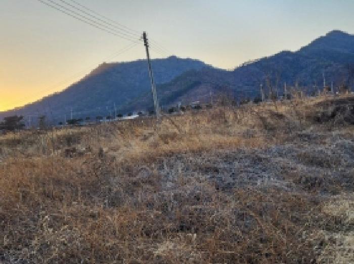 고흥군 동강면 장덕리 도로 경매 물건 사진