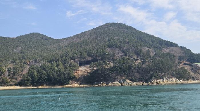 여수시 돌산읍 신복리 임야 경매 물건 사진