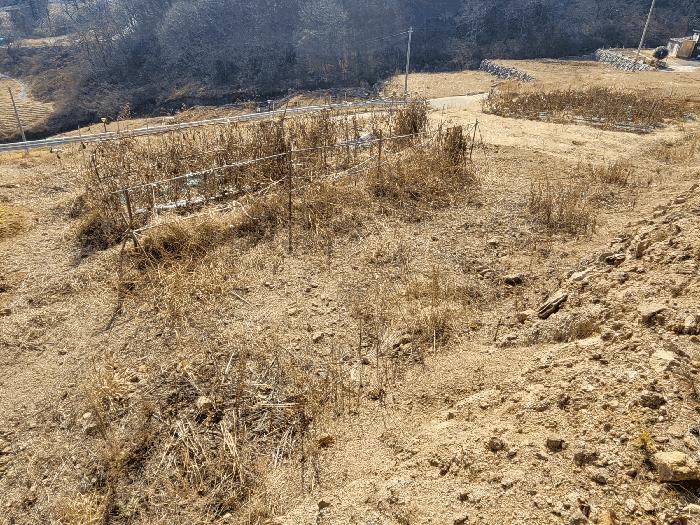 광양시 봉강면 부저리 전 경매 물건 사진