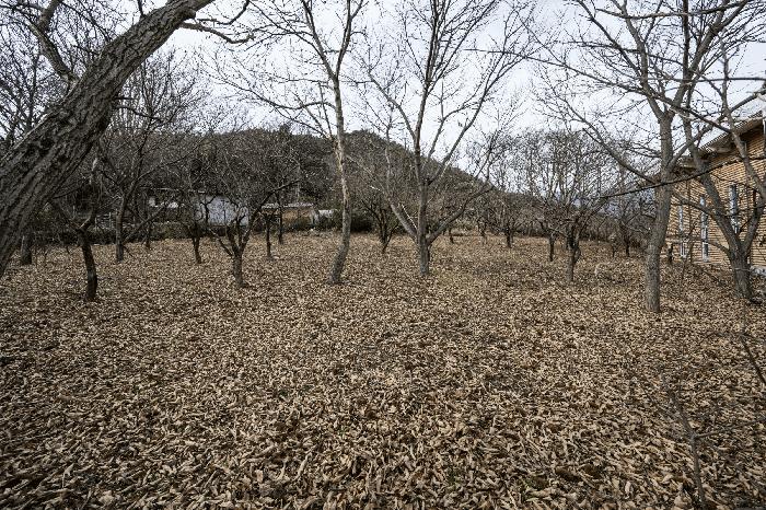 광양시 옥룡면 추산리 단독주택 경매 물건 사진