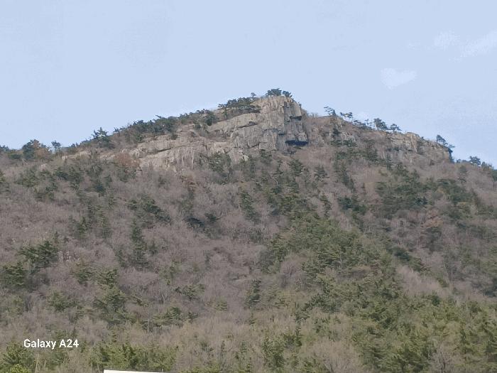 여수시 봉계동 산141 임야 경매 물건 사진