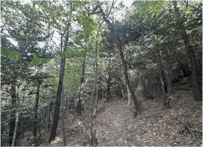 광양시 마동 산64 임야 경매 물건 사진