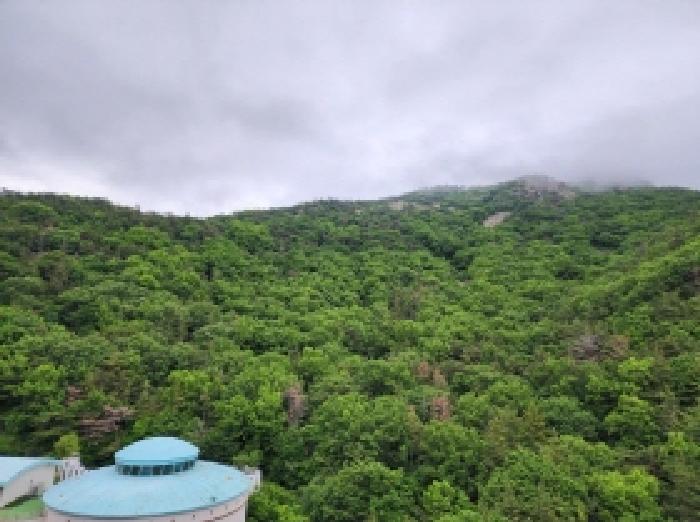 여수시 봉계동 산139 임야 경매 물건 사진