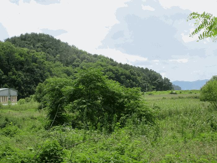 여수시 묘도동 855-15 임야 경매 물건 사진