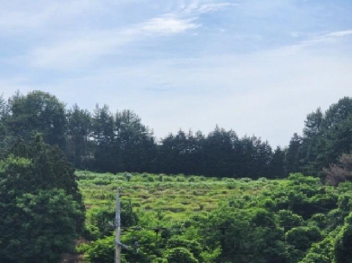 여수시 율촌면 월산리 임야 경매 물건 사진