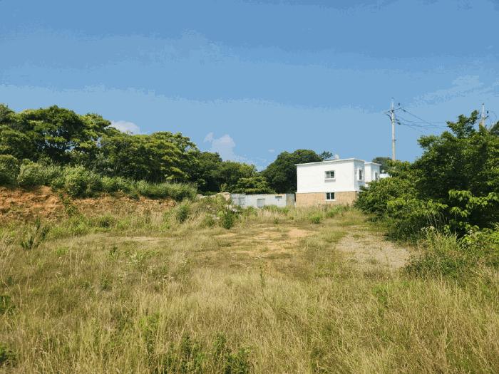고흥군 봉래면 신금리 대지 경매 물건 사진