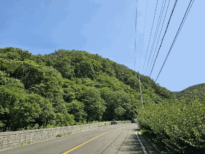 광양시 진월면 마룡리 전 경매 물건 사진