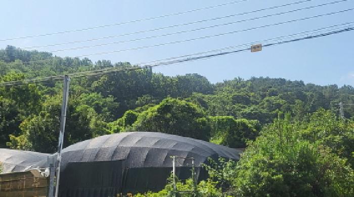 여수시 묘도동 1915 전 경매 물건 사진