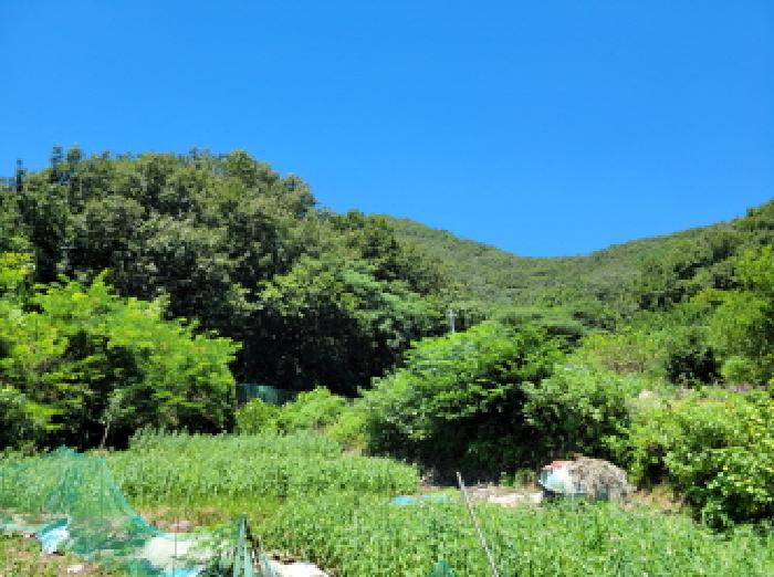 여수시 오림동 산65 임야 경매 물건 사진
