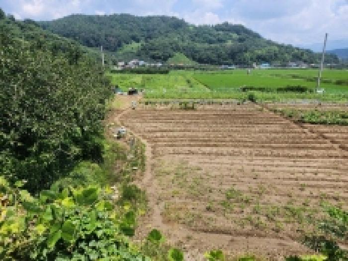 광양시 옥곡면 신금리 대지 경매 물건 사진