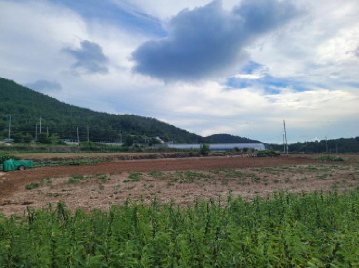 여수시 돌산읍 금봉리 전 경매 물건 사진
