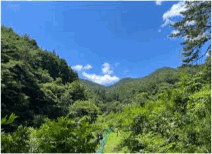 순천시 서면 판교리 임야 경매 물건 사진
