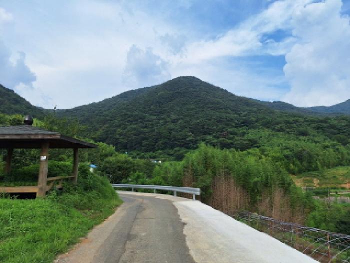 순천시 승주읍 도정리 임야 경매 물건 사진
