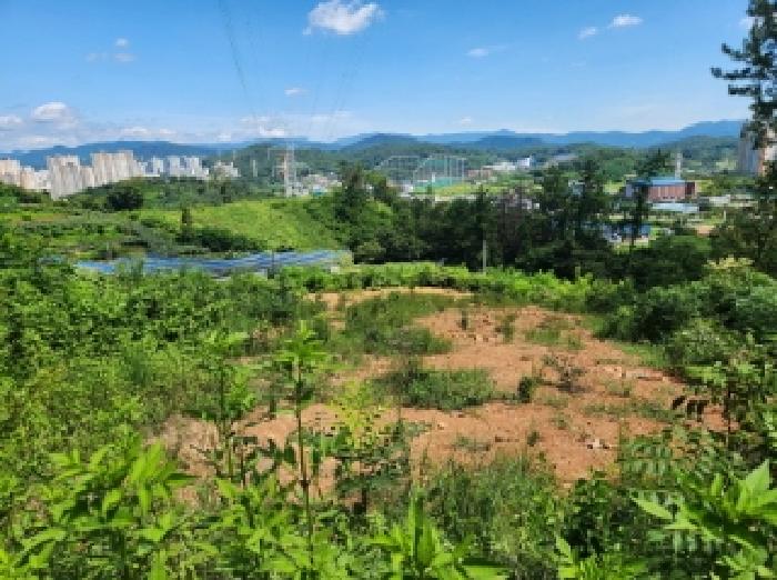 순천시 해룡면 남가리 대지,임야,전답 경매 물건 사진